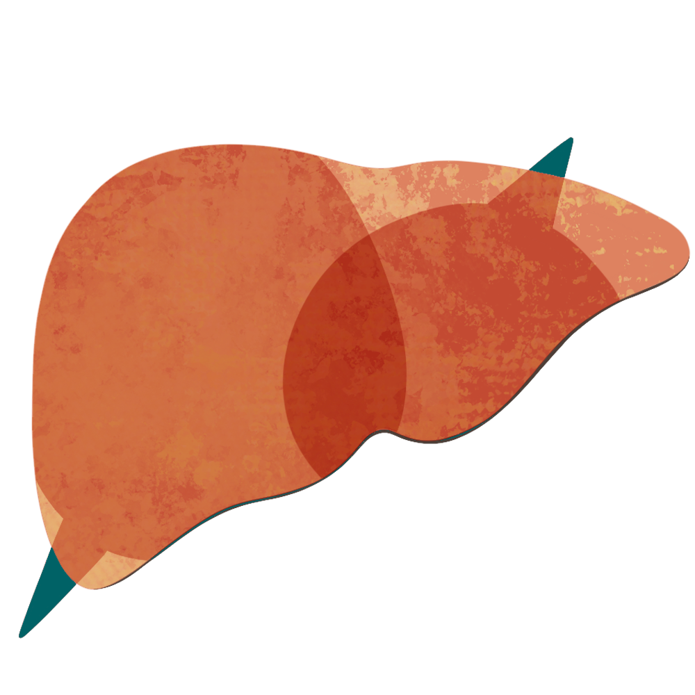 liver with speech bubbles in it